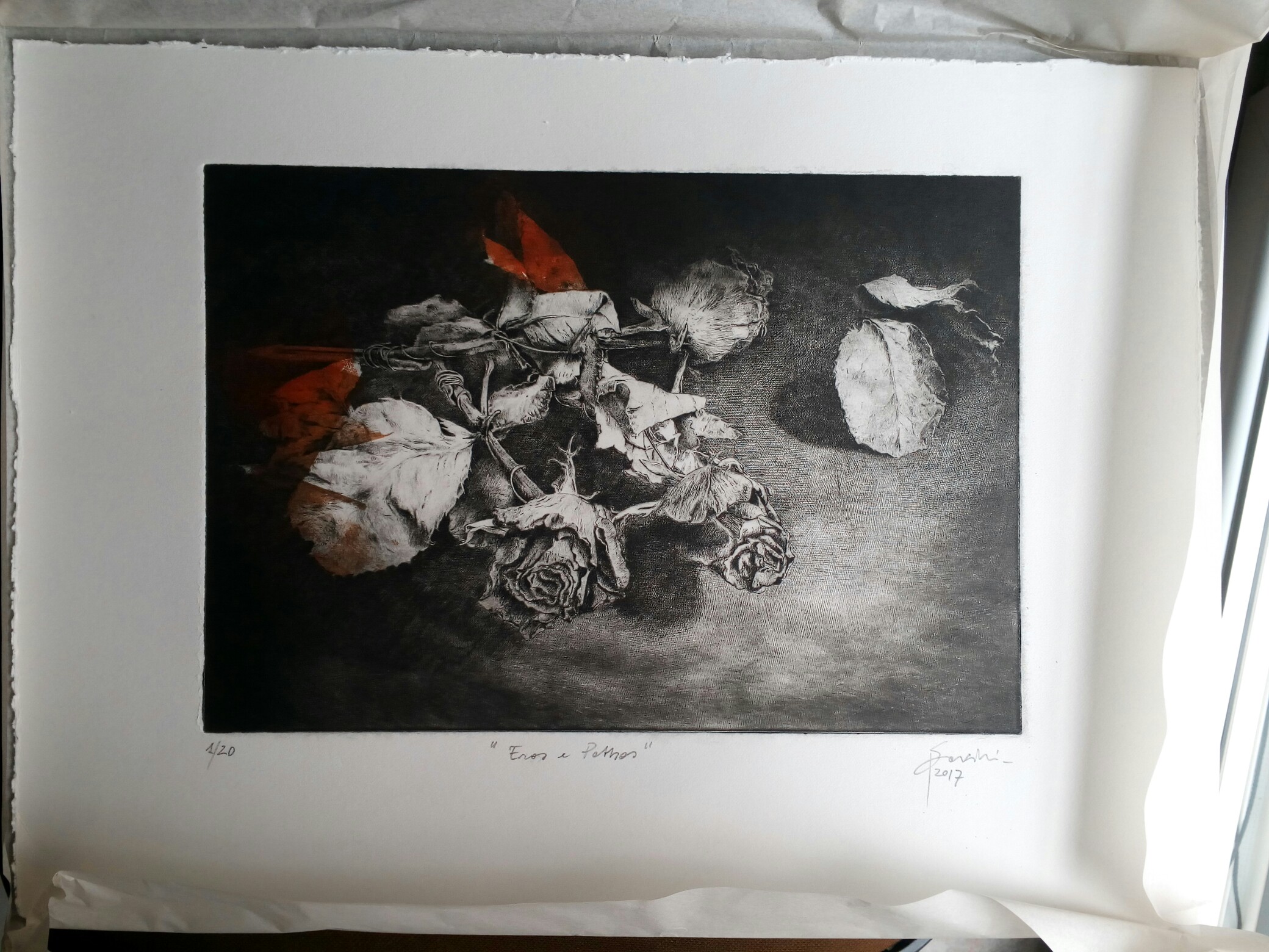 IMG 20170726 101600 161