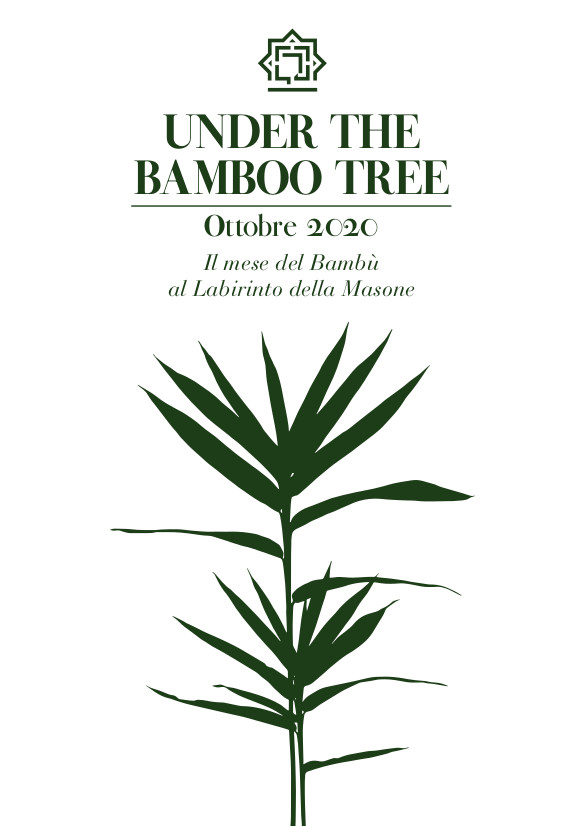 PROGRAMMA Ali bamboo Parma 2020