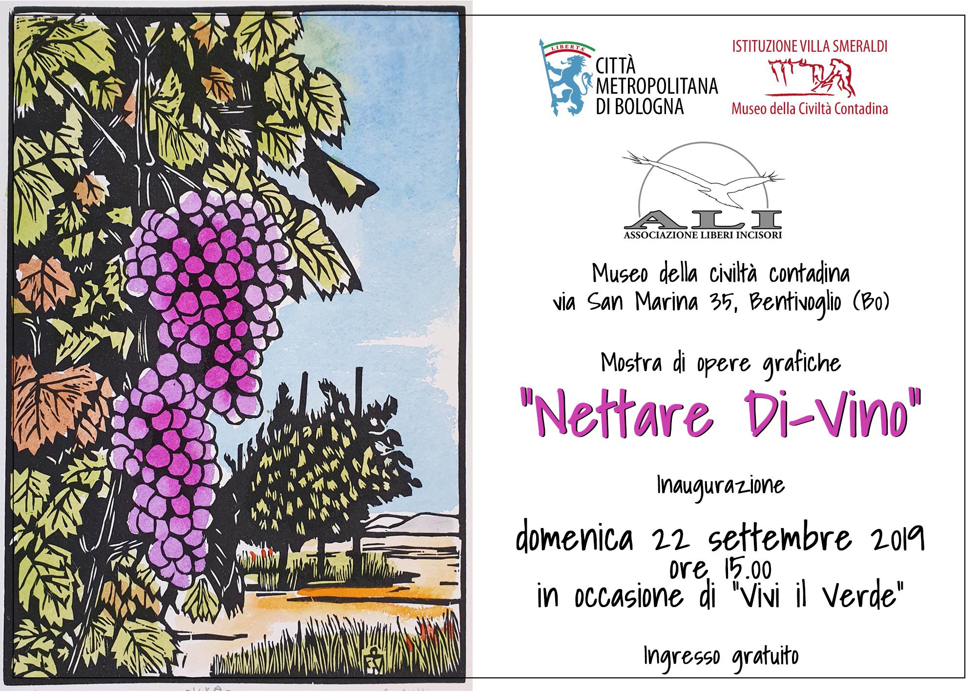 Nettare di vino fronteweb